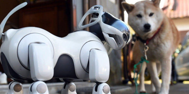robots-talking-animals-aiwebzine